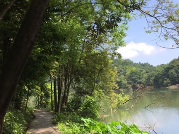 石门国家森林公园山水风景