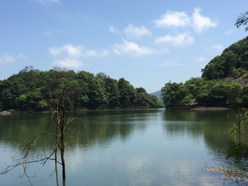 石门国家森林公园山水风景