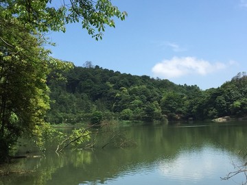 石门国家森林公园山水风景