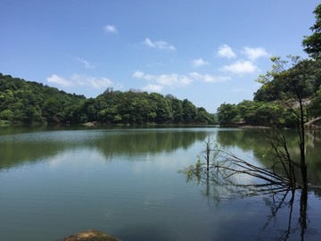 石门国家森林公园山水风景