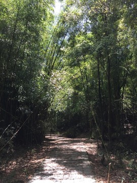 石门国家森林公园山水风景