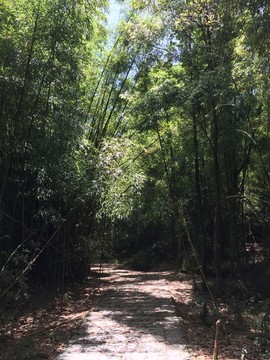 石门国家森林公园山水风景