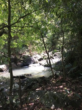 石门国家森林公园山水风景