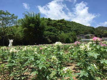 石门国家森林公园山水风景