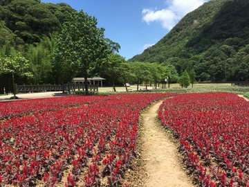 石门国家森林公园山水风景