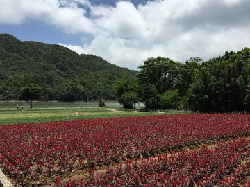 石门国家森林公园山水风景