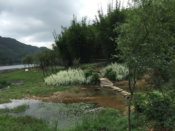 石门国家森林公园山水风景