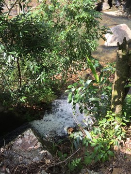 石门国家森林公园山水风景