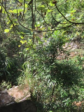 石门国家森林公园山水风景