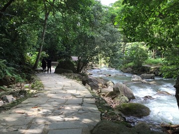 石门国家森林公园山水风景