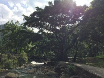 石门国家森林公园山水风景