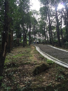 皂幕山青山绿水风景