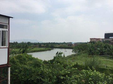 南海平沙岛田园风景旅游散心