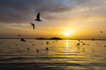 乌海湖的日落