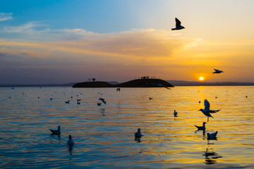 乌海湖的日落
