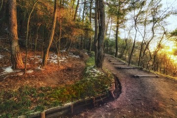 游步道 山道