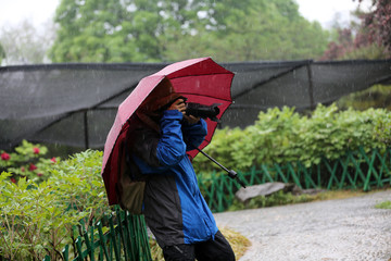 雨中摄影师