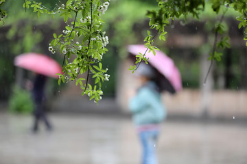 雨中即景