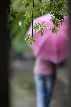 雨中即景