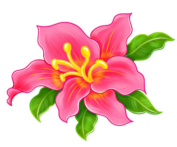 粉紅花