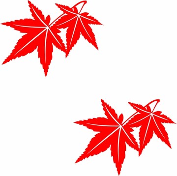 楓葉