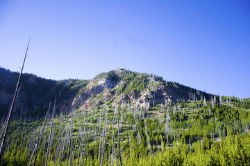 美国黄石国家公园珀普尔山
