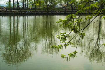 宏村小景