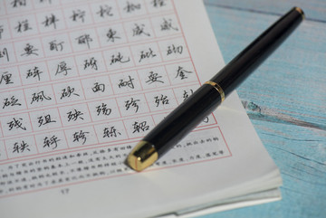 汉字练习 钢笔字