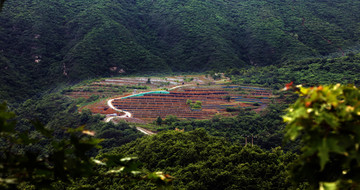 门头沟梯田