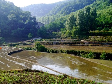 山里的农田