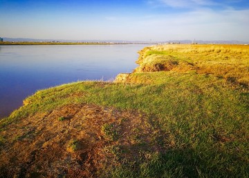 黄河岸边