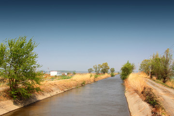 水渠 灌溉 农田 水利 河道