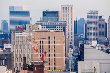 日本大阪