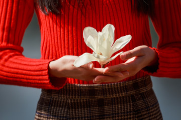 女孩捧花的手