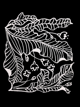 手繪花卉線條