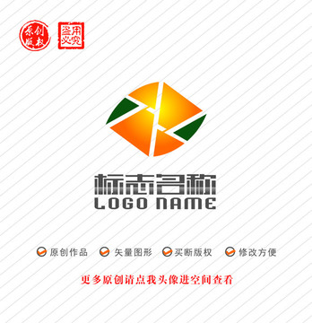 Z字母标志