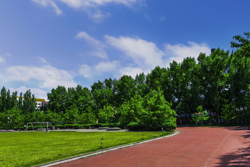绿树蓝天 校园球场