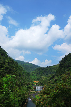 青山绿水