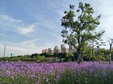 福州花海公园