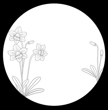 線條花