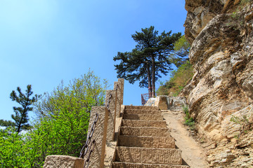 北岳恒山 姊妹松