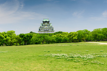 城市公园 草坪