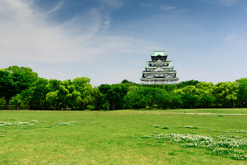 城市公园 草坪