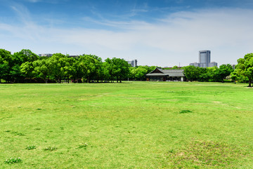 城市公园 草坪