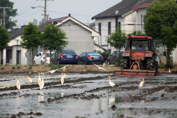 农机 水田