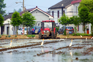 农机 水田 耕种 上海 机械