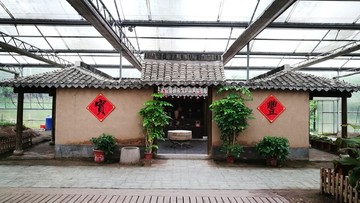 上海都市菜园