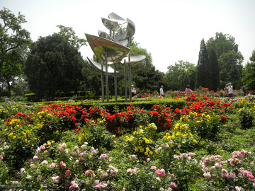 植物园花卉