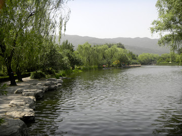 池塘美景