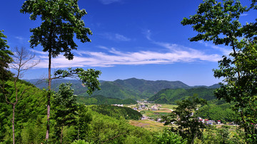 武夷山镇岑元村